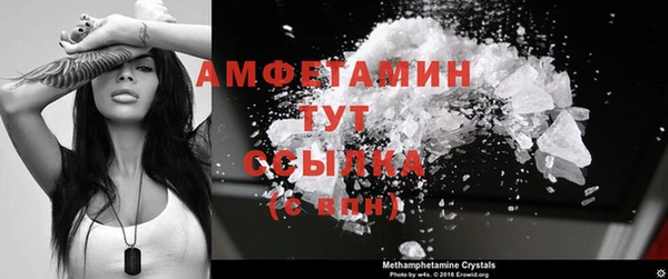 индика Беломорск