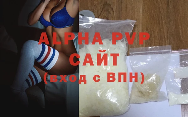 индика Беломорск
