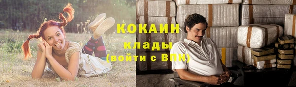 индика Беломорск