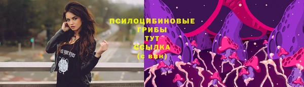 дживик Балахна