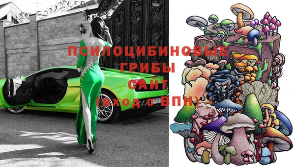 стафф Баксан