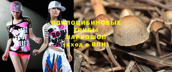 хмурый Белоозёрский
