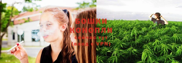 индика Беломорск